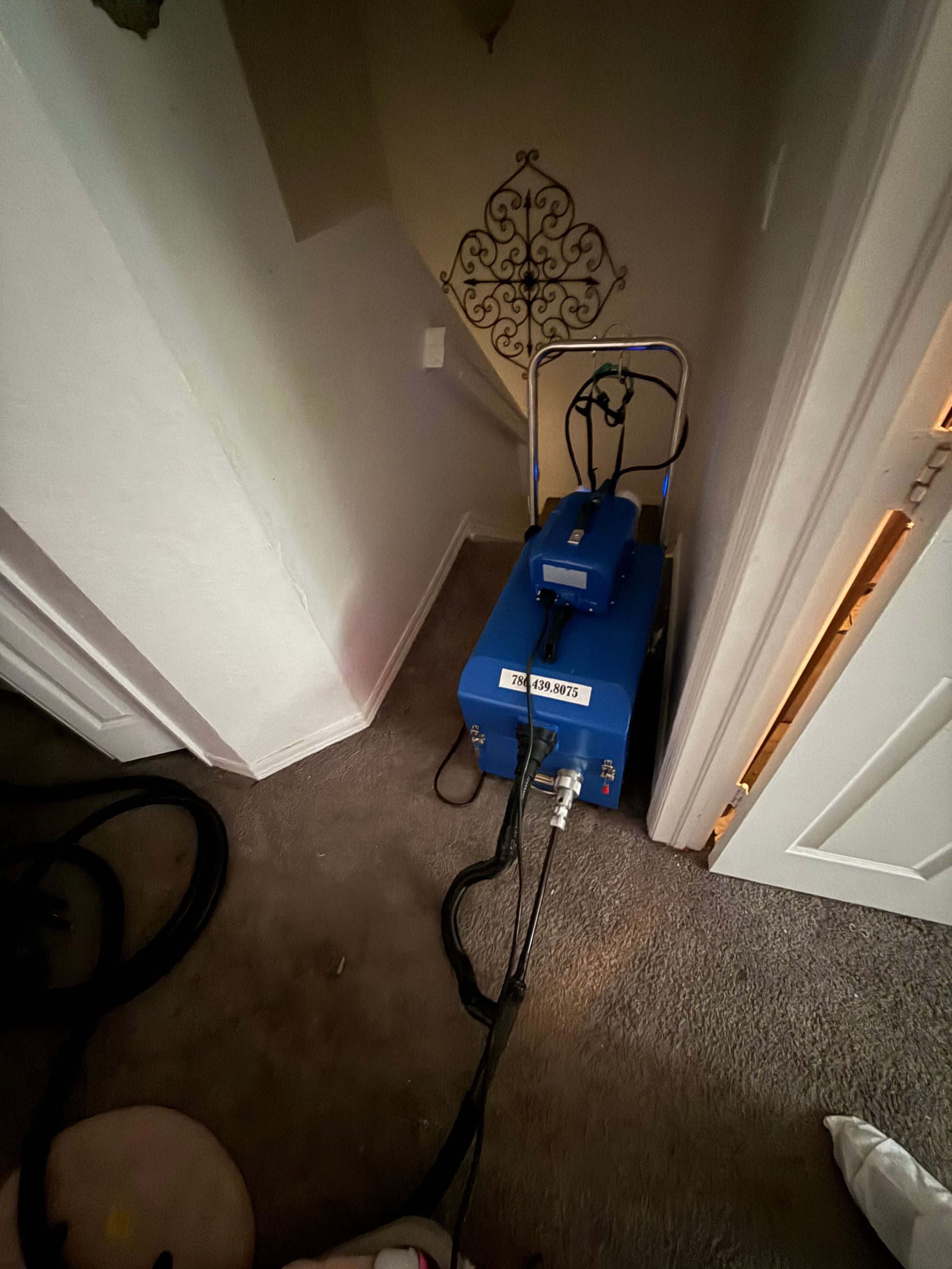 Duct cleaning and sanitization Shark A/C & Refrigeration