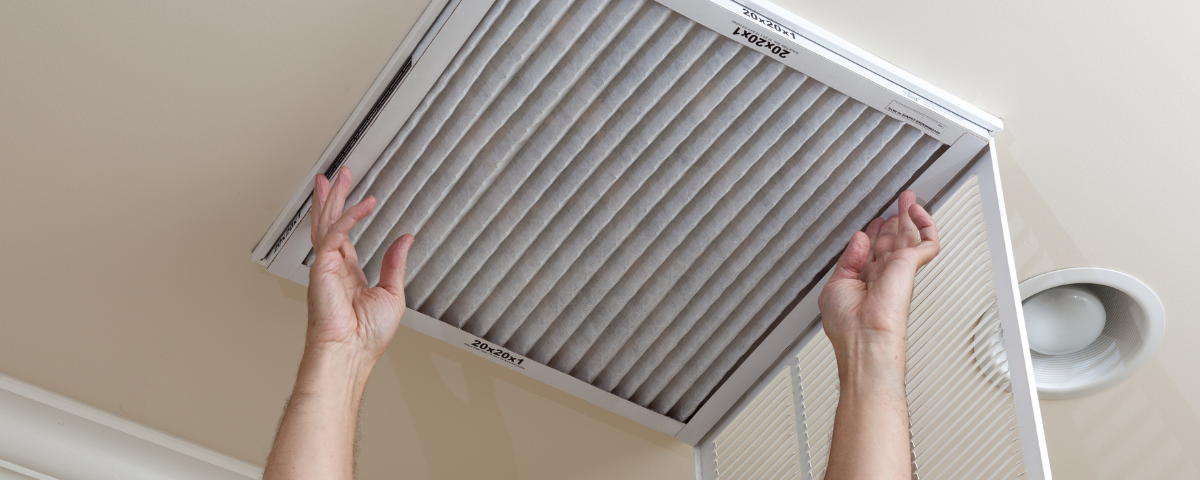 diseño sin título (61)