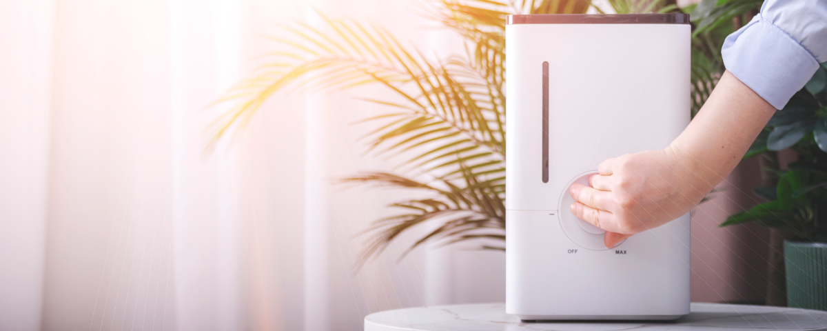 diseño sin título (87)