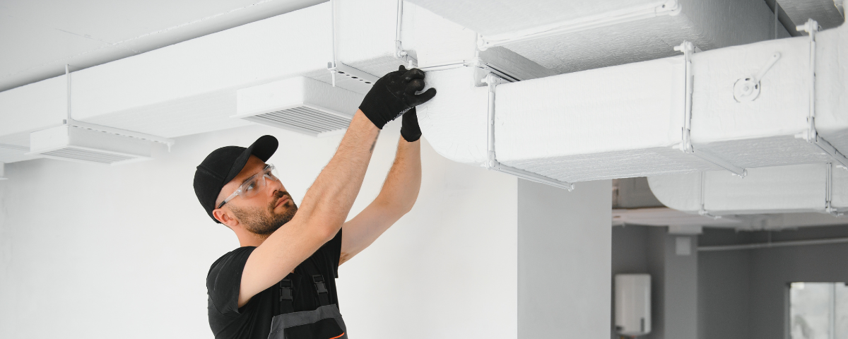 diseño sin título (88)