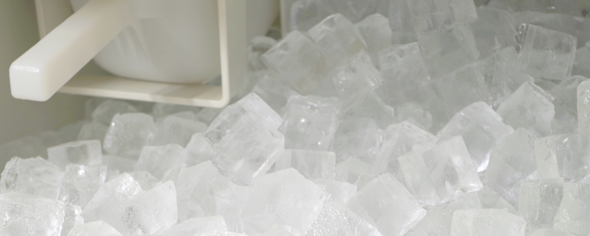 diseño sin título (91)