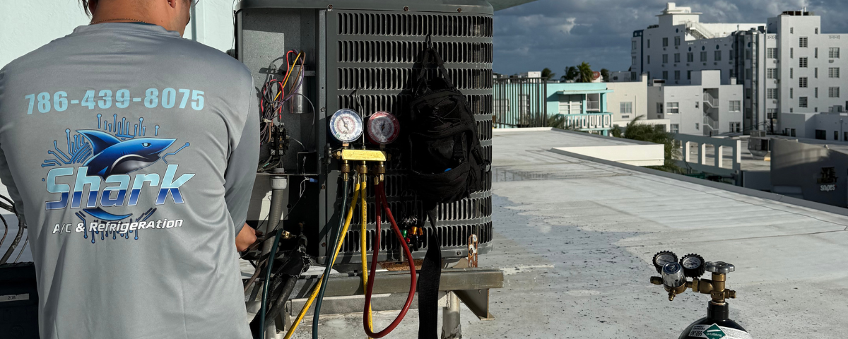 diseño sin título (92)