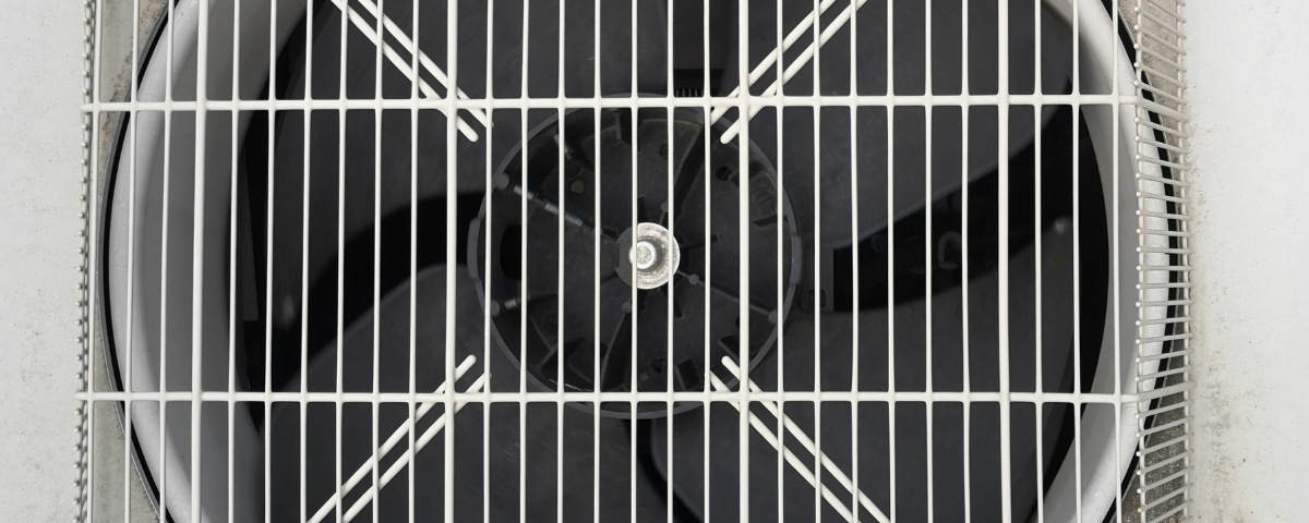 diseño sin título (95)